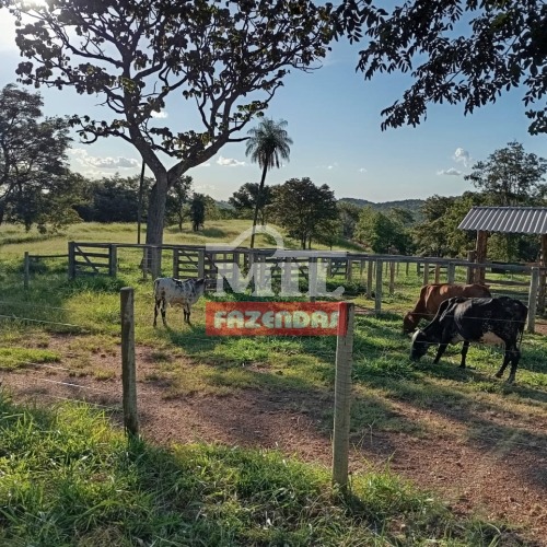 foto do anuncio